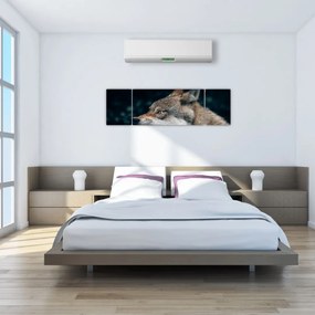 Obraz wilka (170x50 cm)