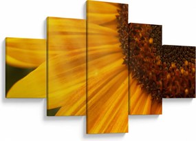 Obraz - Słoneczniki (125x70 cm)