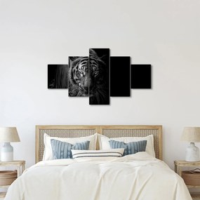 Obraz dzikiego tygrysa (125x70 cm)