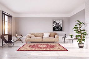 Dywan klasyczny Venezia Ornament Kremowo Czerwony  250 cm x 350 cm