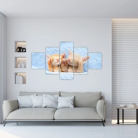 Obraz - Śpiące kocięta (125x70 cm)