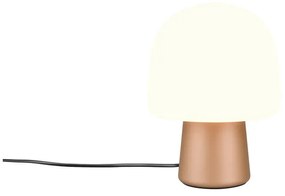 Biało-brązowa lampa stołowa ze szklanym kloszem (wysokość 27 cm) Steen – Trio