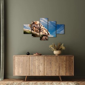 Obraz - Sowa (125x70 cm)