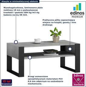 Nowoczesna ława kawowa do salonu beton + czarny E8-C33