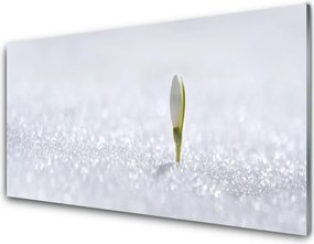 Panel Szklany Pierwsze Tchnienie Wiosny: Przebiśnieg