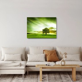 Obraz na szkle - Drzewo życia (70x50 cm)