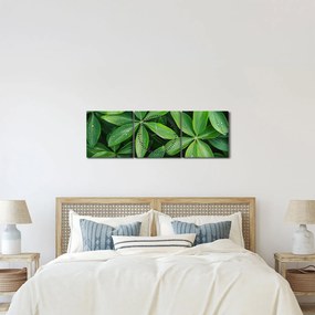 Obraz - Liście z kroplami rosy (z zegarem) (90x30 cm)