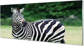 Panel szklany do Kuchni Zebra na tle Afrykańskiej Równiny