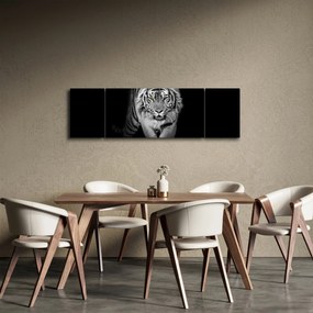 Obraz - Tygrys z żółtymi oczami (170x50 cm)