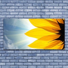 Obraz na płótnie Delikatne Płatki Kwiatowe