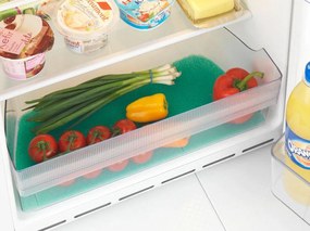 Mata antypleśniowa, antybakteryjna do lodówki, WENKO