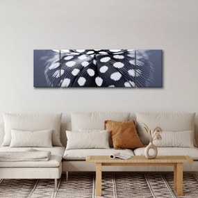 Obraz - Piórko (170x50 cm)