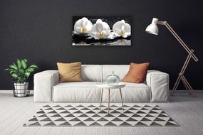 Obraz canvas Subtelny Biały Storczyk