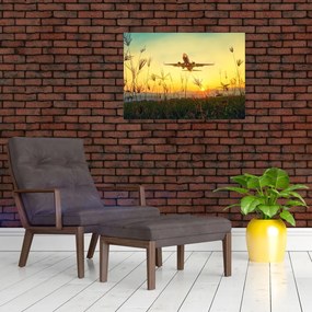 Obraz na szkle - startujący samolot (70x50 cm)