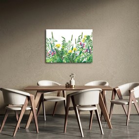 Obraz - Malowane kwiaty łąkowe (70x50 cm)