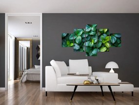 Obraz - Rośliny zielone (125x70 cm)
