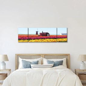 Obraz farmy tulipanów (170x50 cm)