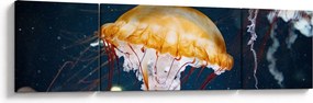 Obraz meduzy (170x50 cm)
