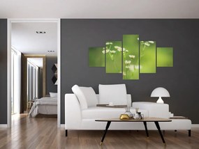 Obraz stokrotek (125x70 cm)