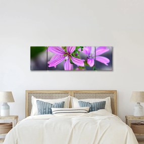 Zbliżenie kwiatu (170x50 cm)