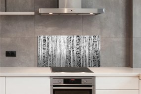 Szklany Panel Brzozy w Kontraście Czerni i Bieli