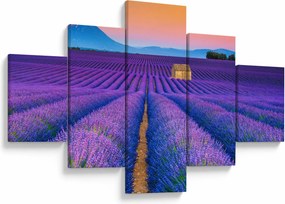 Obraz - Lewndowe pole (125x70 cm)