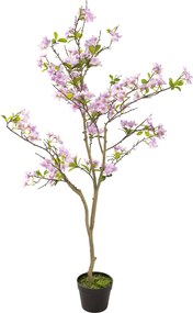 Drzewko Sakura w doniczce 130 cm
