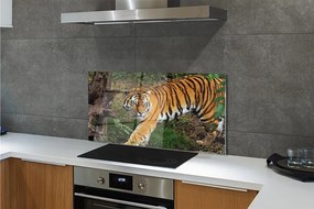 Panel szklany do Kuchni Tygrys wśród Leśnej Roślinności