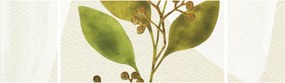 Obraz - Gałąź akwareli N⁰1 (170x50 cm)