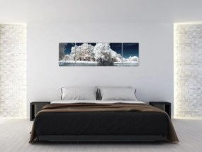 Obraz - Śnieżnobiałe drzewa (170x50 cm)