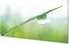 Panel nad Blat Kuchenny Rosa na Źdźble Trawy