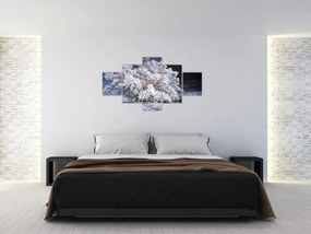 Obraz - Śnieżnobiałe drzewo (125x70 cm)