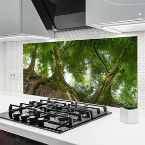 Panel Szklany do Kuchni Korony Rozłożystych Drzew