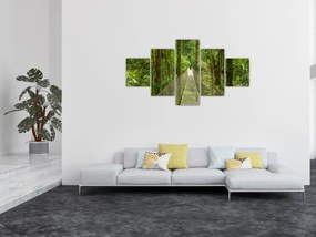 Obraz - Most wiszący (125x70 cm)