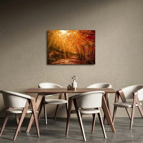 Obraz jesiennego lasu (70x50 cm)
