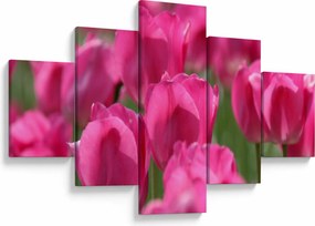 Obraz - Różowe tulipany (125x70 cm)