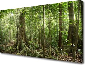 Obraz canvas Gęstwina Tropikalnej Dżungli
