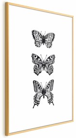 Plakat Trzy motyle 40x60 cm z ramą złotą z marginesem ARTGEIST B