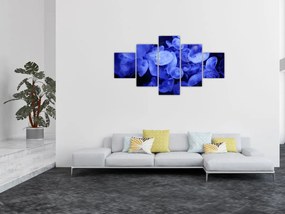Obraz - Meduzy (125x70 cm)