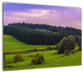 Obraz łąki (70x50 cm)