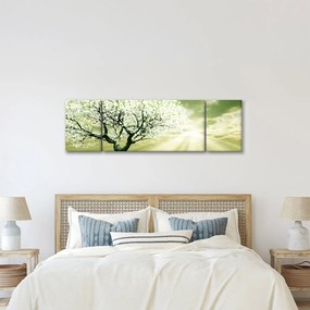 Obraz drzewa na łące (170x50 cm)