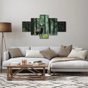 Obraz - Jeleń w głebokim lesie (125x70 cm)