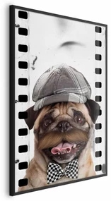 Plakat Mops w czapce 21x30 cm z ramą czarną bez marginesu ARTGEIST B