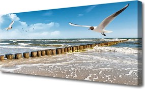 Zdjęcie na płótnie Mewy nad Morskim Brzegiem