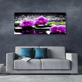 Obraz drukowany na płótnie Egzotyczny Kwiat Orchidei