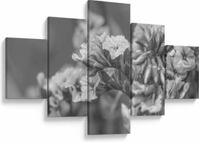 Obraz - Suszone kwiaty (125x70 cm)