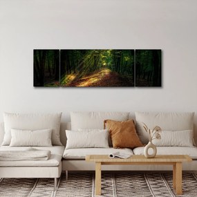 Obraz leśnej ścieżki (170x50 cm)