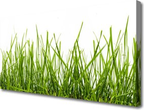 Fotoobraz na płótnie Soczysta Zielona Polana