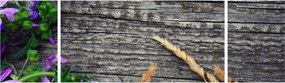 Obraz - kwiaty polne (170x50 cm)