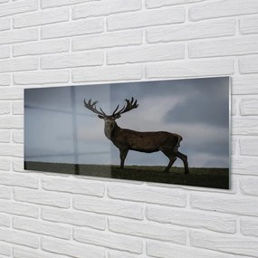 Panel Szklany Jeleń noc
